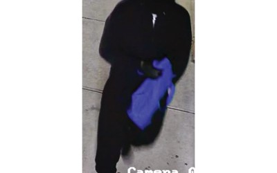Cops  Search  for Ozone Park Armed Robber