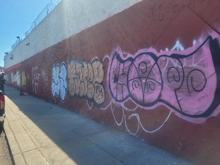Ariola Organizes Ozone Park Graffiti Cleanup