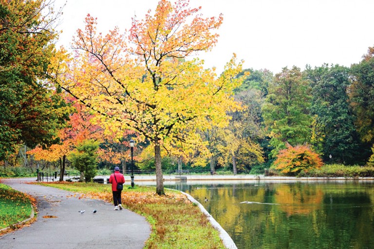 Corona Man Indicted in Horrific Rape of Teen inside Kissena Park