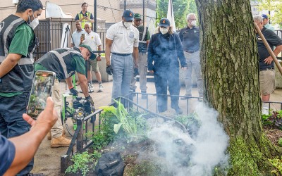 City Launches New Phase of ‘War on Rats’