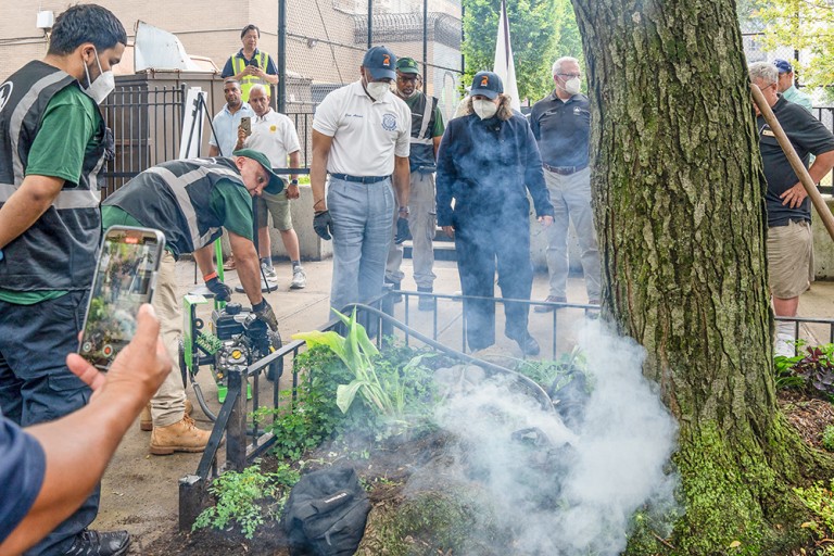 City Launches New Phase of ‘War on Rats’