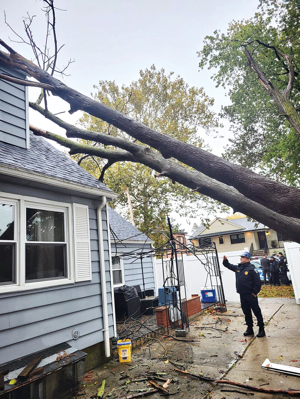 Photo Courtesy of NYC DOB The winds uprooted trees, sending them crashing down onto parked cars and homes.