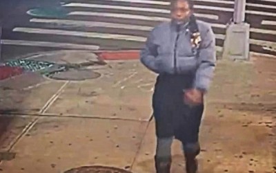 Cops Hunt for Woodhaven Mugging Suspect